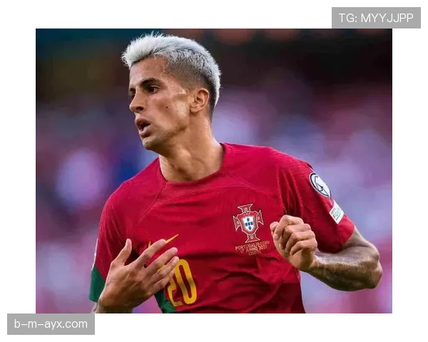 坎塞洛多面手角色 坎塞洛多面手角色